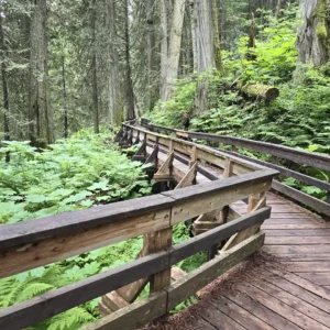 Lheidli T’enneh - Ancient Forest Boardwalk
