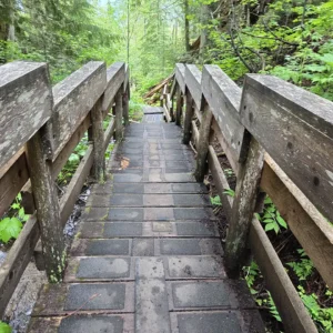 Lheidli T’enneh - Ancient Forest Boardwalk