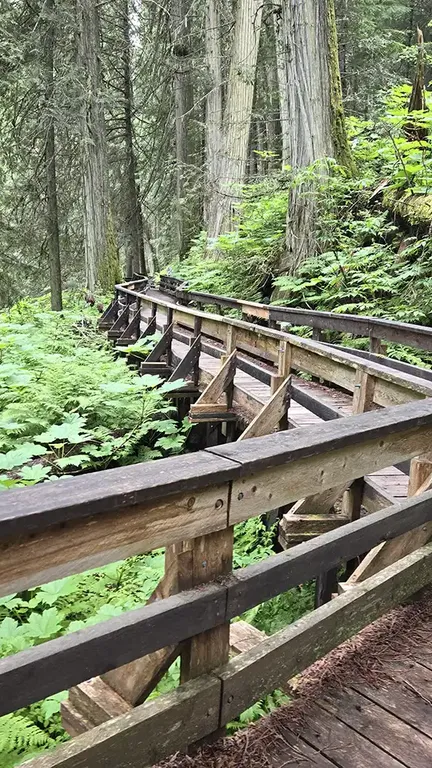 Lheidli T’enneh – Ancient Forest Boardwalk