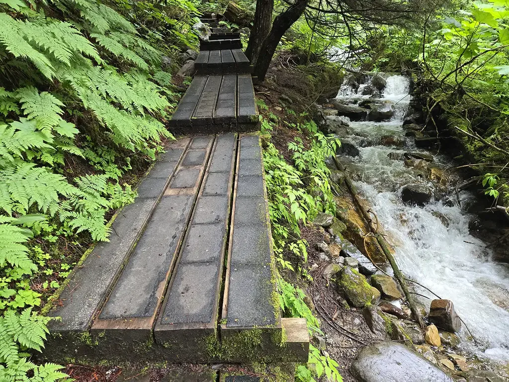 Lheidli T’enneh - Ancient Forest Boardwalk